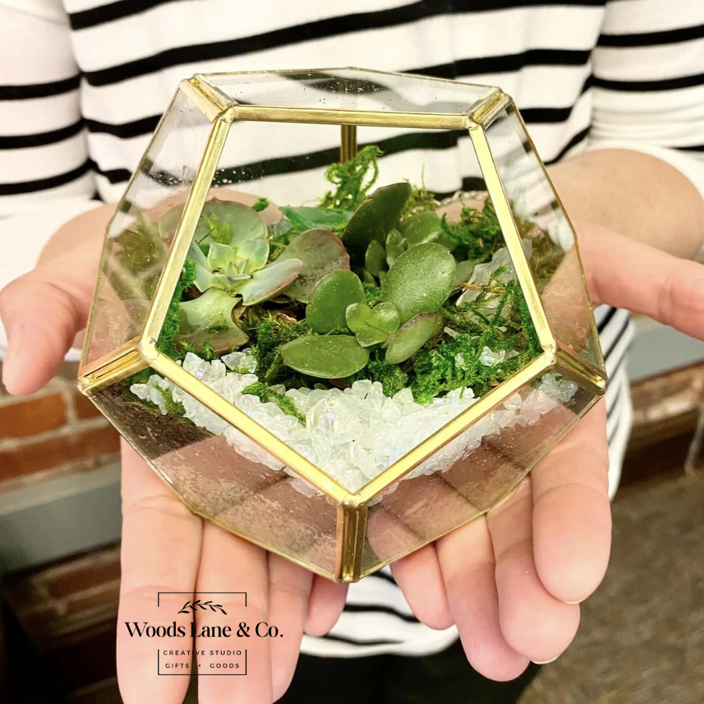 Private Terrarium Workshop | Tues. June 30