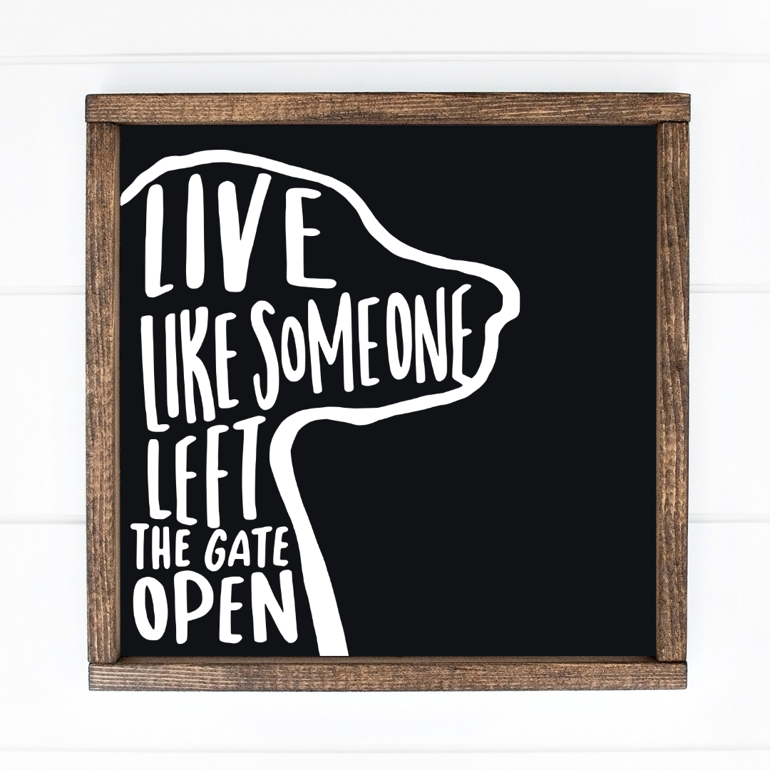 Live like someone left the gate open:  P12