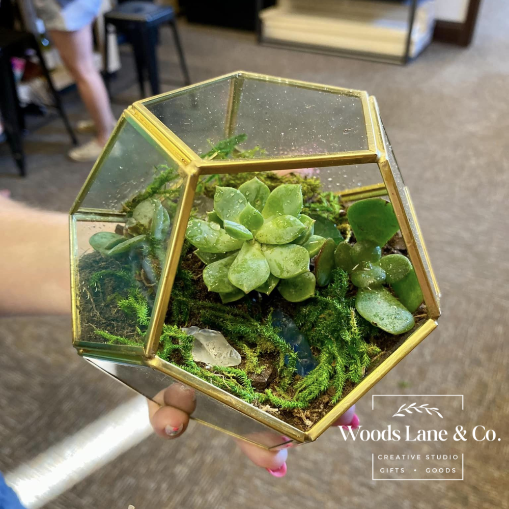 Private Terrarium Workshop | Tues. June 30