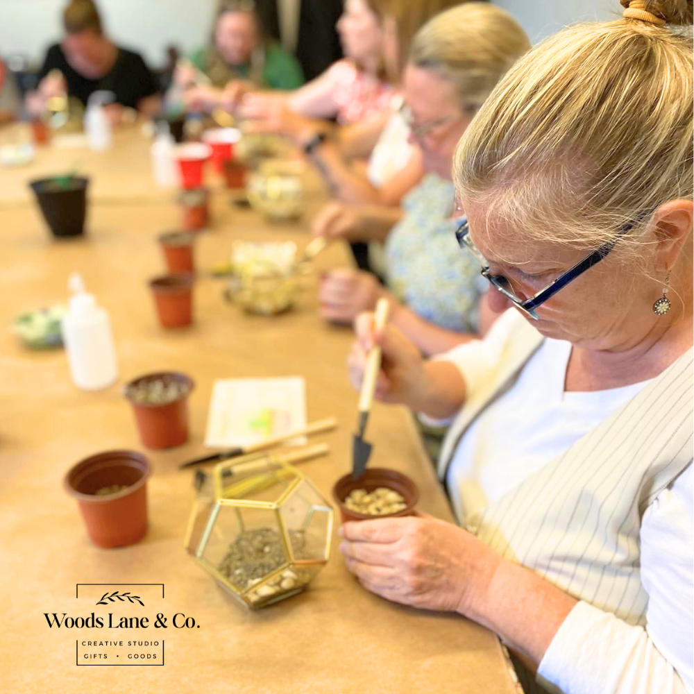 Private Terrarium Workshop | Tues. June 30