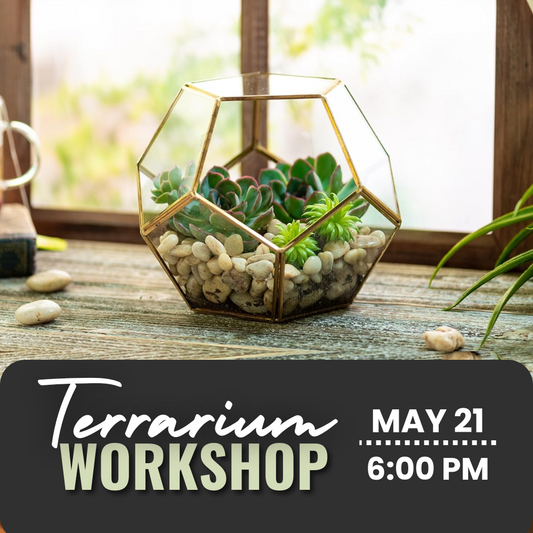 Terrarium Workshop | Tues. May 21