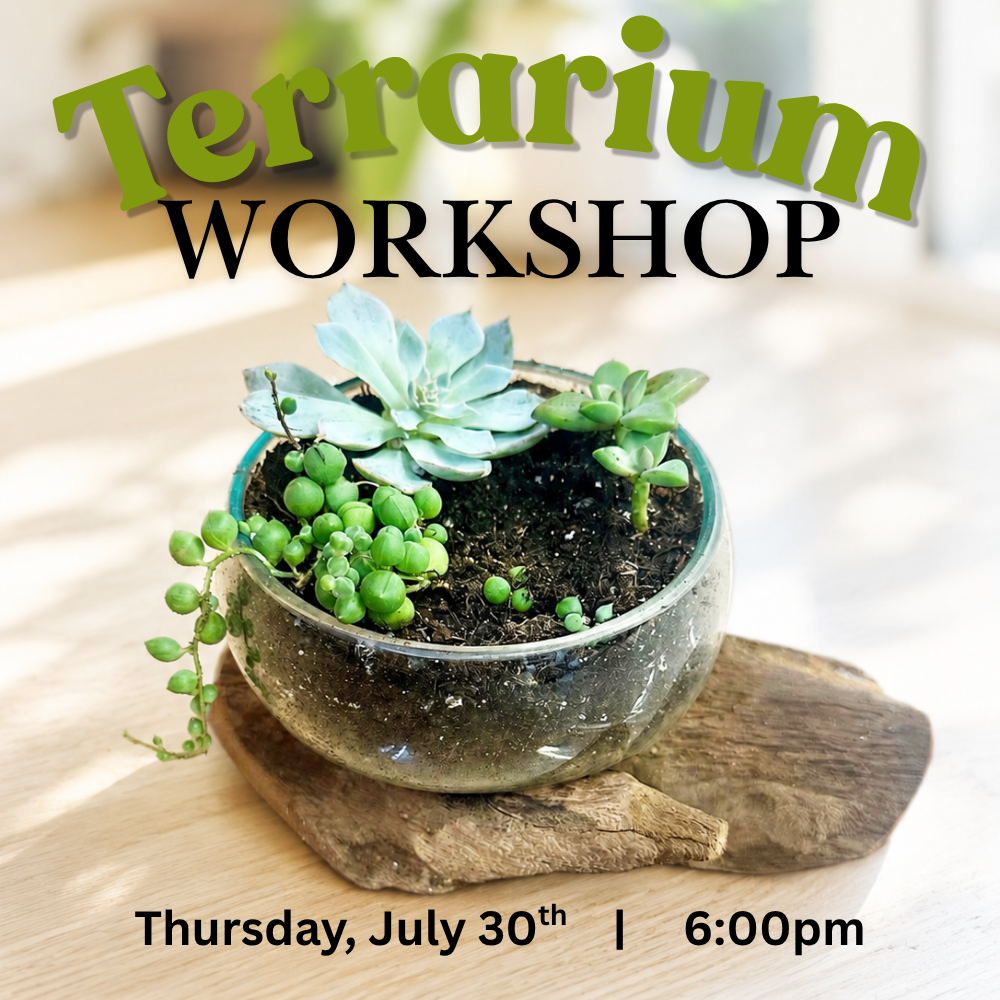Terrarium Workshop | Thurs. July 30