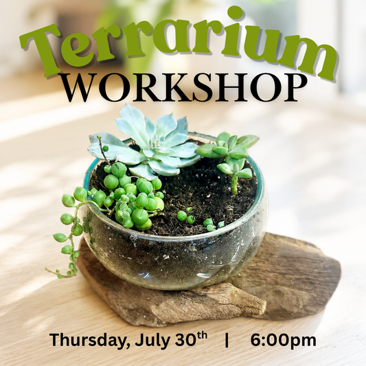 Terrarium Workshop | Thurs. July 30