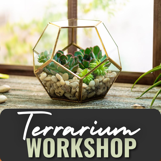 Private Terrarium Workshop | Tues. June 30