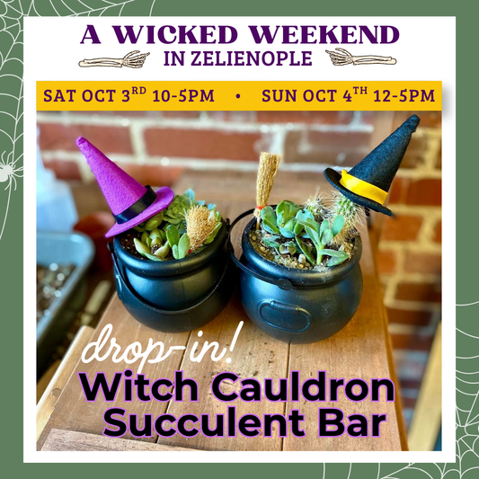 Wicked Weekend | Cauldron Planters | Oct 3 & 4